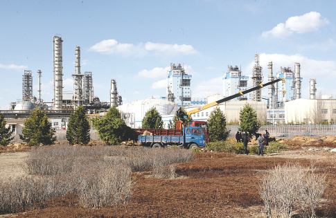 飞禽走兽游戏界面